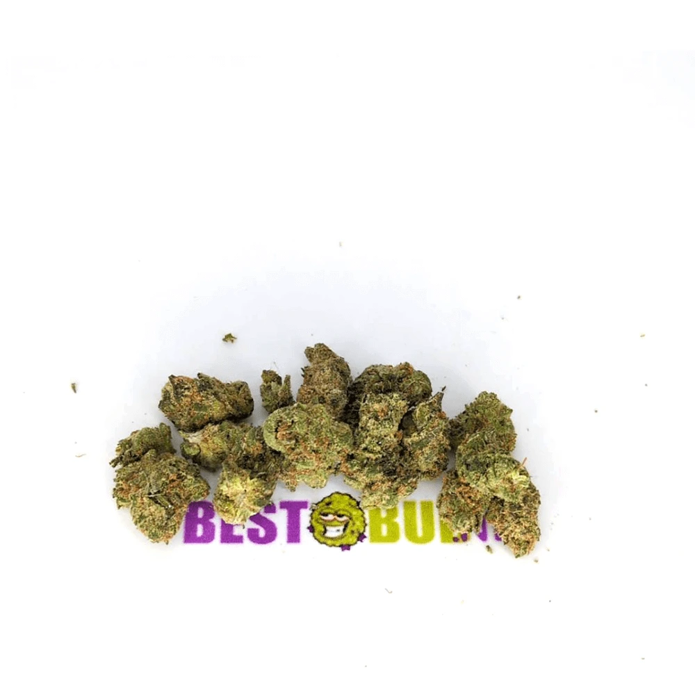 Amnesia Haze – Popcorn Buds