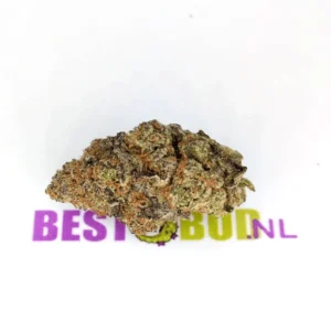 Brombeere