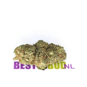 Lemon Pop CBD