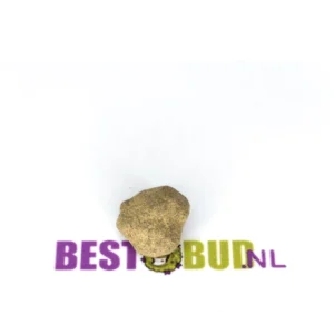 Moonrock