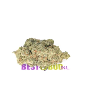 Orange Ice CBD
