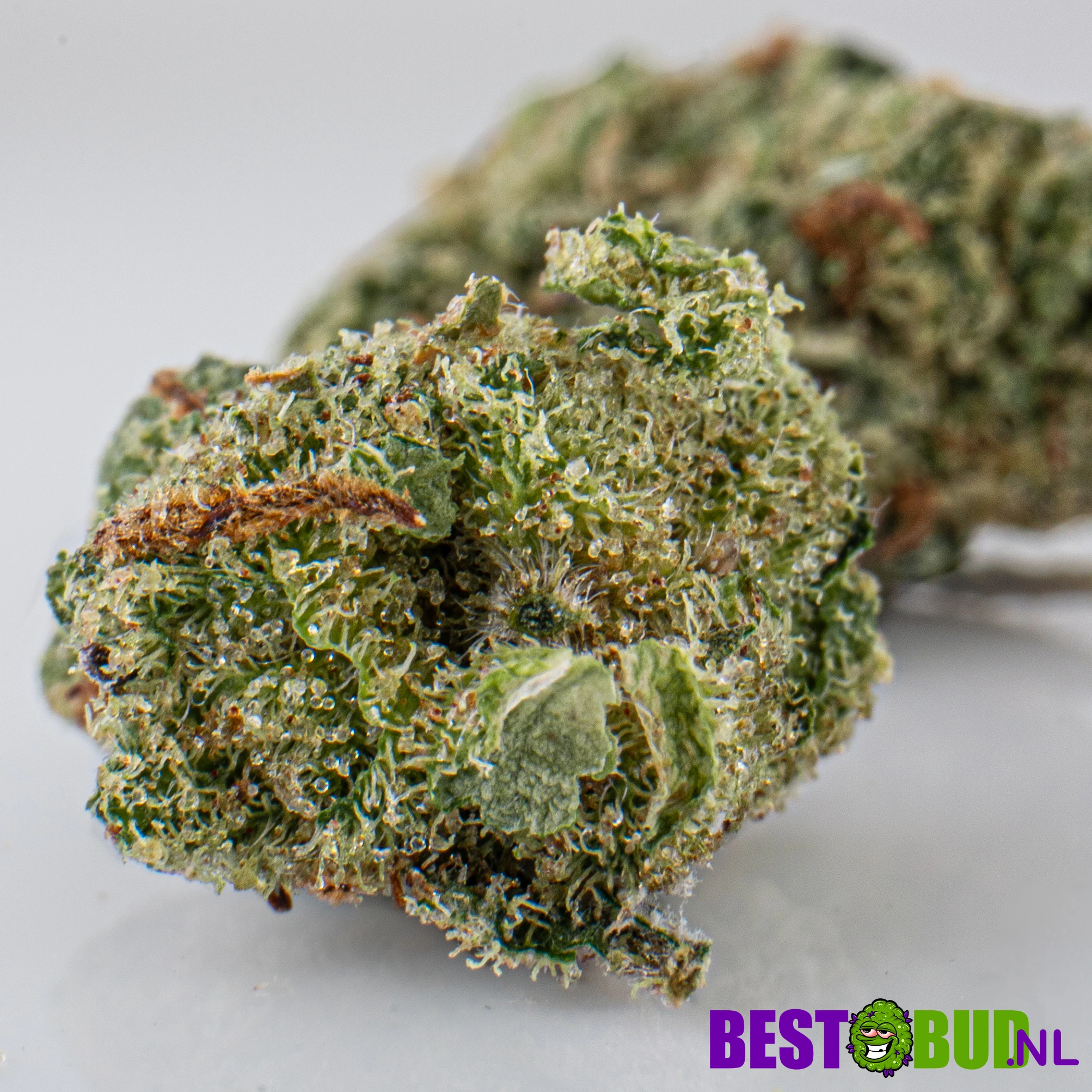 Amnesia Haze – Popcorn Buds - Image 2
