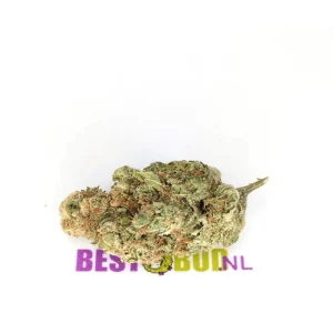 Super Silver Haze