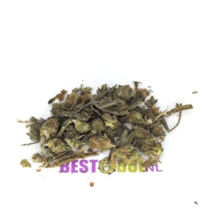 Amnesia Haze Blattgrit