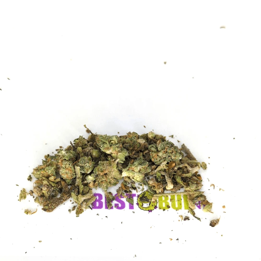 Party Mix Gruis